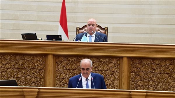 نائبة بالجلسة الطارئة بالبرلمان: فلتبقى حقوق المصريين مصانة ولترحل الحكومة