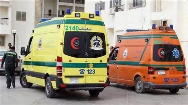 بالأسماء.. مصرع شخصين وإصابة 8 آخرين في حادث تصادم ميكروباص وسيارة ملاكي بالدقهلية