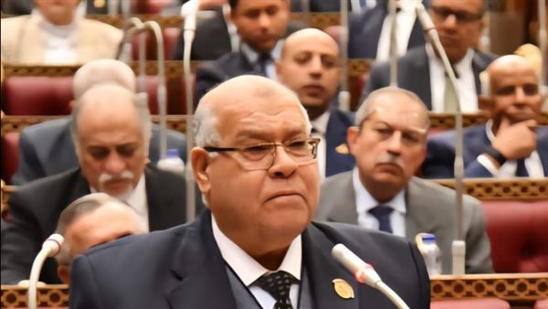 الشهابي: لولا تدخل الرئيس لتم تطبيق قانون الإجراءات الجنائية غدا والتأجيل يقتضي تعديلا تشريعيا