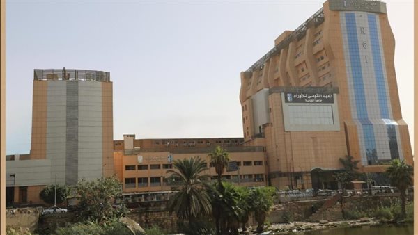 24 أكتوبر، القومي للأورام ينظم ورشة عمل متخصصة عن أحدث تطورات علاج أورام الكلى