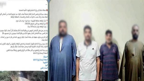 فيديو متداول يكشف الحقيقة.. مشاجرة بين مزارعين بسبب أرض مستأجرة في بنها
