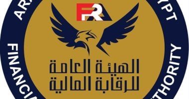 الرقابة المالية: 244 حملة تفتيش لحماية فلوس المستثمرين فى البورصة