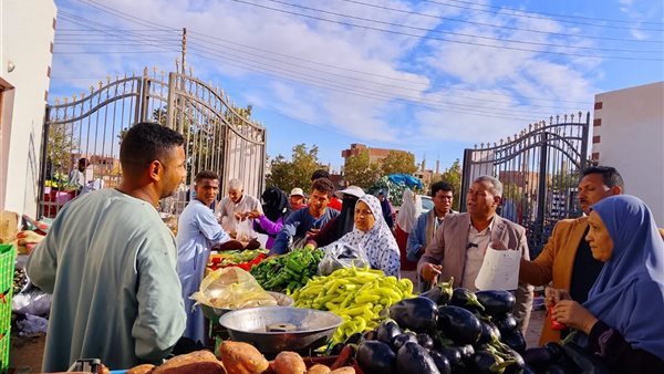 تموين الوادي الجديد يحرر 137 محضرًا ويضبط لحومًا ودواجن فاسدة خلال أسبوع