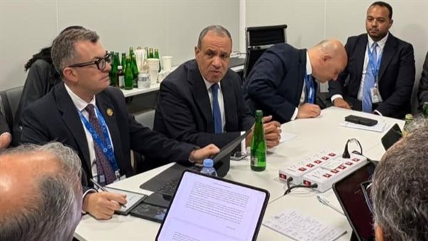تدشين الآلية المصرية لتمويل مشروعات حوض النيل، تفاصيل لقاء عبد العاطي ونائب رئيس البنك الدولي