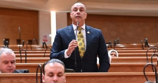 برلماني: «منتدى مصر 2026» يوسع دائرة الحوار وفرصة لصياغة حلول واقعية