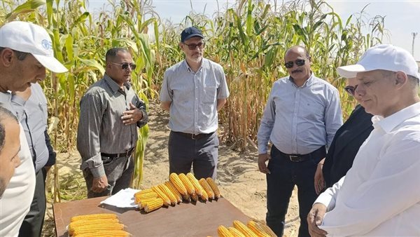 الذكاء الاصطناعي يدخل حقول الإسماعيلية، الزراعة تختبر روشتة جديدة لتوفير مياه الري