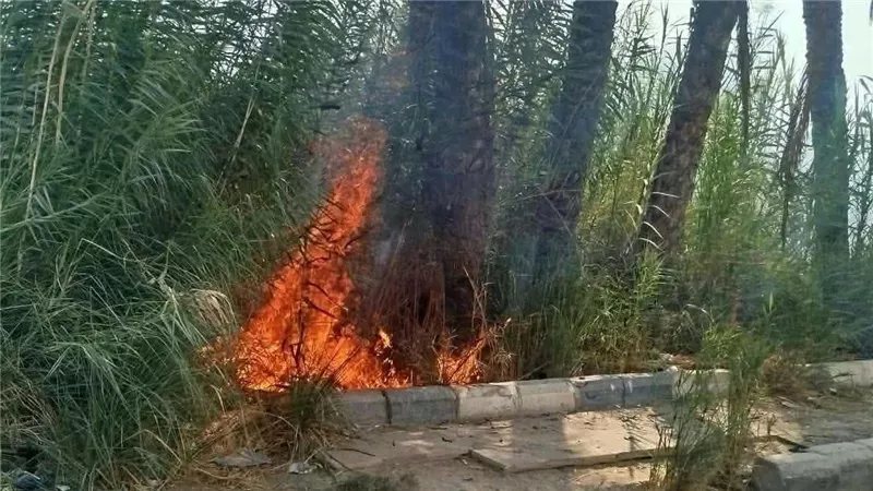 السيطرة على حريق بالطريق الزراعي في مغاغة بالمنيا