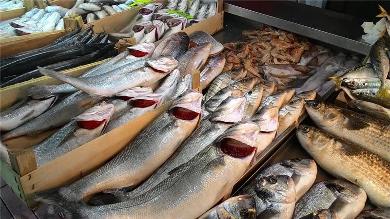 أسعار الأسماك اليوم، انخفاض في البلطي والجمبري الجامبو والكابوريا وقفزة بالبوري