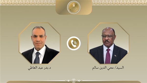 وزيرا خارجية مصر والسودان يؤكدان عمق العلاقات الثنائية بين البلدين