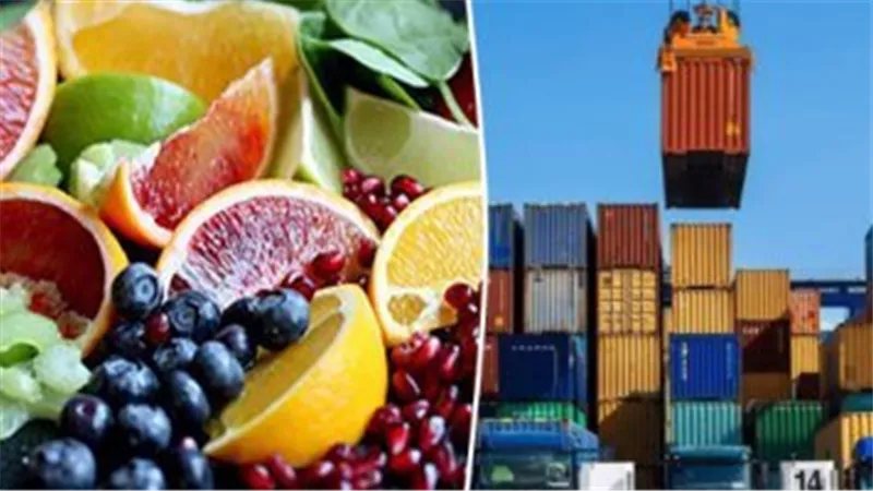 من الفراولة المجمدة إلى المنتجات المصنعة، أبرز الأغذية المصرية التي تغزو الأسواق الفرنسية