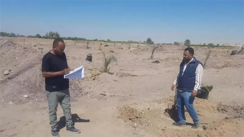 إزالة حالة تعد من المهد على مساحة 5 أفدنة بمركز باريس بالوادي الجديد