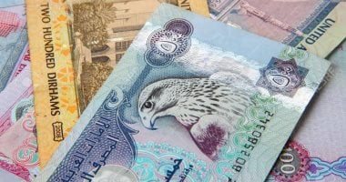 سعر الدرهم الإماراتى اليوم الجمعة.. 14.24 جنيه للشراء في البنك المركزي