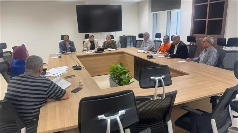 الطاقة الشمسية في المحميات و«بيت القاهرة»، خطة التنمية المحلية والبيئة لخفض استهلاك الكهرباء