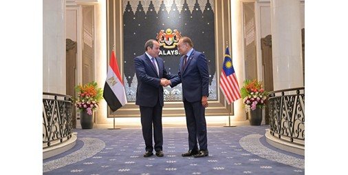 السيسي: ضرورة تضافر جهود جميع الأطراف للعمل على إحلال السلام والتمسك بقواعد القانون الدولي