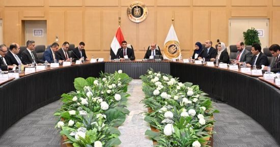 وزيرا الاستثمار والصناعة يبحثان مع منتجى الحديد ومصانع الدرفلة تحديات القطاع