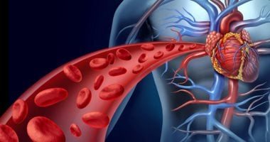 كيف يعود الدم من القدمين إلى القلب؟.. 3 آليات تحافظ على الدورة الدموية