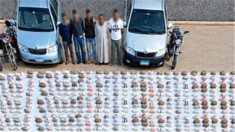 مصرع 5 عناصر جنائية وضبط مخدرات وأسلحة بـ208 ملايين جنيه في أسوان وسوهاج
