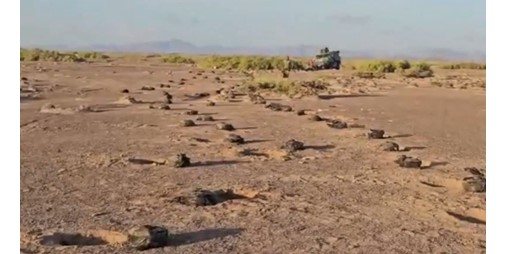 القوات الحكومية اليمنية تواصل تقدمها على جبهات الساحل الغربي