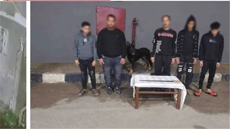 ضبط 4 أشخاص بتهمة ممارسة البلطجة وترويع المواطنين بالبحيرة