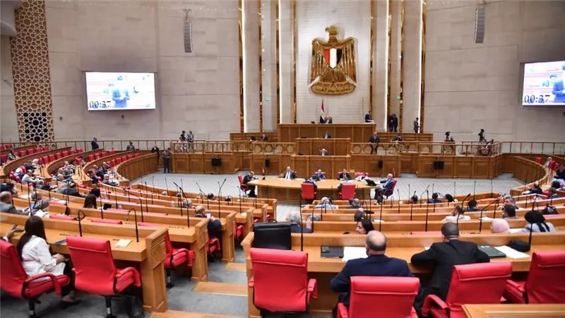 قبل مناقشته بالنواب، تعرف على تفاصيل مشروع قانون الصندوق التكافلي لدعم الأسرة