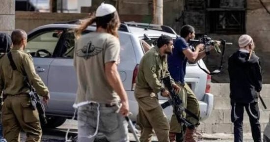 اعتقال 17 فلسطينيًا بالضفة الغربية.. والمستوطنون يسرقون محاصيل الزيتون
