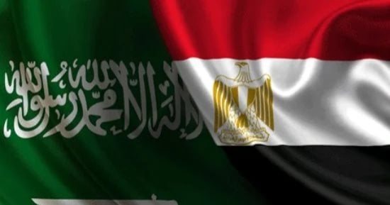 رانيا الشيمي: تفويض البرلمان لدعم السعودية يعكس ثوابت الدولة المصرية في حماية الأمن القومي العربي