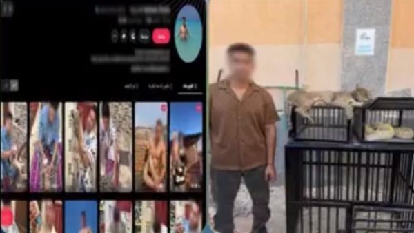 ضبط البلوجر هشام ديشا بكفر الشيخ لتربية ونشر فيديوهات لحيوانات وزواحف خطرة