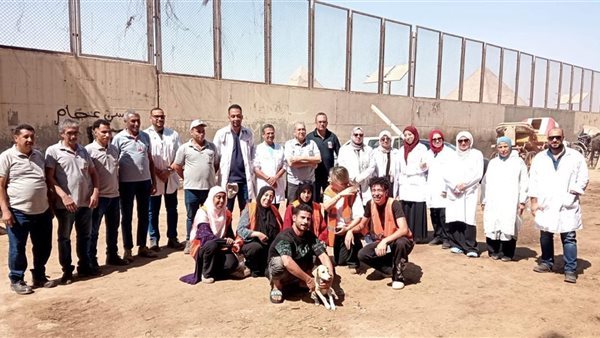 "الزراعة" تنهي تحصين خيول الأهرامات استعدادًا لبطولة الفروسية الدولية