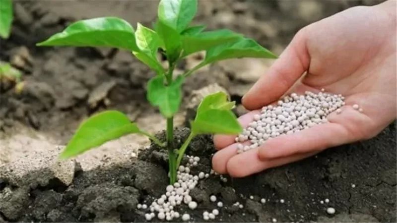 اليوريا العادي يصل إلى 23 ألف جنيه، أسعار الأسمدة اليوم في الأسواق