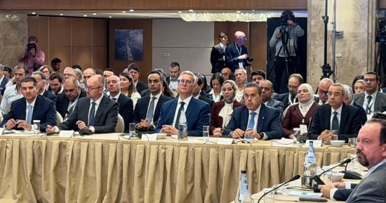 وزير البترول: التعاون المصرى القبرصى فى الغاز يدخل مرحلة التنفيذ الفعلى