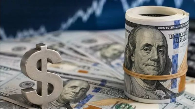 كيف يعيد الدولار رسم خريطة التجارة المصرية؟ شعبة المواد الغذائية تجيب