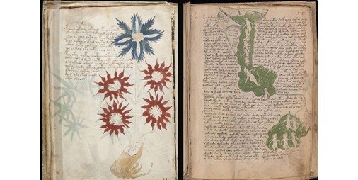 كتاب عمره 600 عام لا يستطيع أحد قراءته.. هل اكتشف العلماء سبب اللغز؟