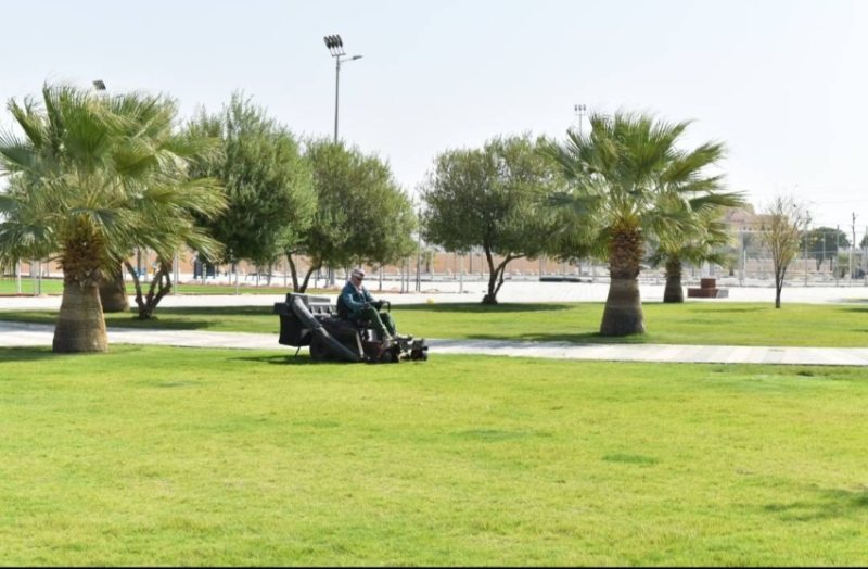 زرع 500 شجرة وتنسيق 45 ألف م2 من المسطحات الخضراء بمليجة