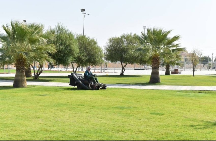 زرع 500 شجرة وتنسيق 45 ألف م2 من المسطحات الخضراء بمليجة