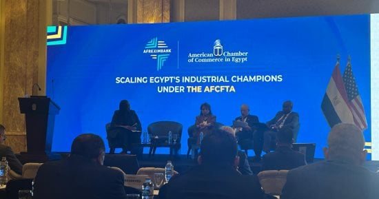 محمد قاسم: 7.6 مليار دولار صادرات مصر إلى إفريقيا خلال 2025