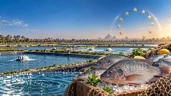 الاتحاد الأوروبي يُدرج منتجات الاستزراع السمكي المصري رسميًّا ضمن قائمة الدول المُصرَّح لها بالتصدير