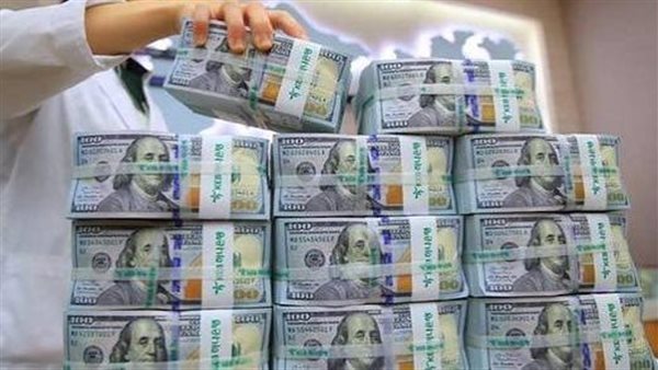 نص أمر إحالة عامل متهم بالاتجار في النقد الأجنبي خارج السوق المصرفية بالمعادي للمحاكمة