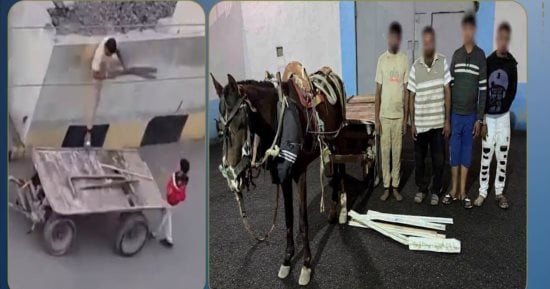 سقوط عصابة سرقة مهمات السكك الحديدية بالشرقية واستعادة المسروقات