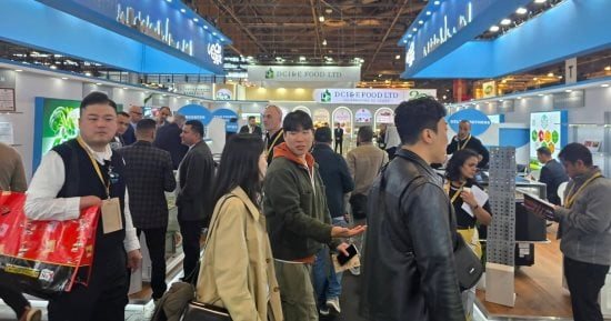 صادرات الصناعات الغذائية إلى أوروبا ترتفع 16% لـ1.124 مليار دولار