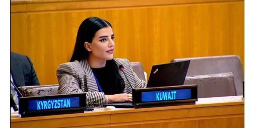 الملا: حماية حقوق الإنسان تقتضي ترجمة المبادئ والالتزامات الدولية إلى حماية فعلية للمدنيين