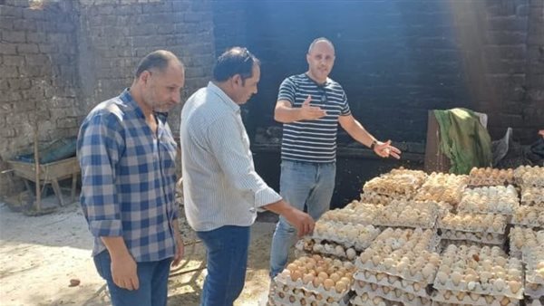 ضبط 105 آلاف بيضة فاسدة داخل مزرعتين غير مرخصتين بالغربية