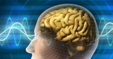 لماذا تتذكر أشياء وتنسى أخرى.. رحلة داخل المخ توضح كيف يتعامل مع الذكريات