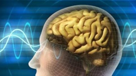 لماذا تتذكر أشياء وتنسى أخرى.. رحلة داخل المخ توضح كيف يتعامل مع الذكريات