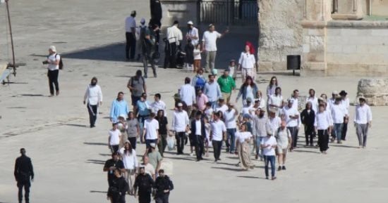 هيئة الجدار والاستيطان: 409 اعتداءات للاحتلال والمستوطنين ضد مزارعى الزيتون