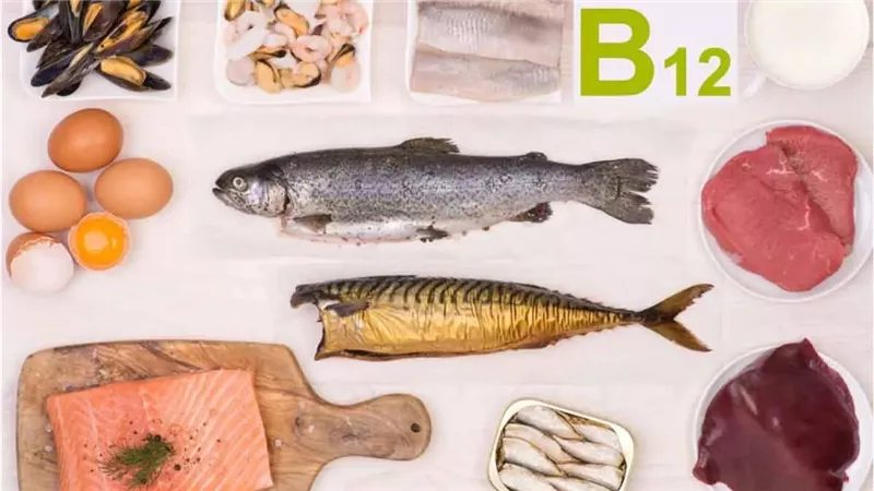 أطعمة غنية بفيتامين B12 لدعم الأعصاب وتكوين خلايا الدم الحمراء