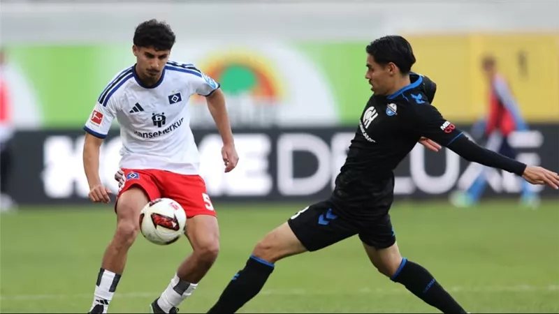 بادربورن يهزم هامبورج بهدف قاتل في الدوري الألماني