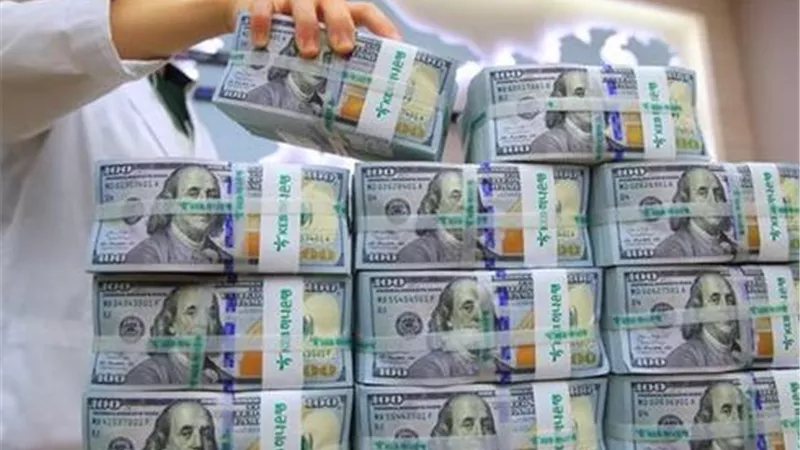 ضبط قضايا اتجار غير مشروع بالنقد الأجنبي بـ7 ملايين جنيه ومصادرة 6 أطنان دقيق خلال 24 ساعة