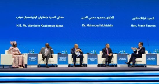 محيي الدين: يجب ربط الاستثمار بالمعادن الحيوية فى الدول النامية ببناء القدرات الإنتاجية