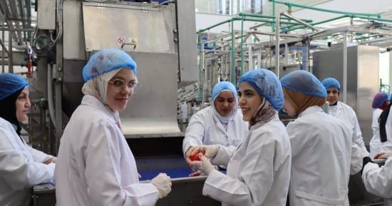 بتكلفة 1.3 مليون يورو.. تفاصيل مركز تصنيع صلصة الطماطم بجامعة الإسكندرية.. صور