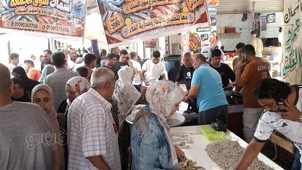40 جنيها للكيلو، مبادرة لبيع الأسماك بأسعار مخفضة للمواطنين بالإسماعيلية (فيديو وصور)